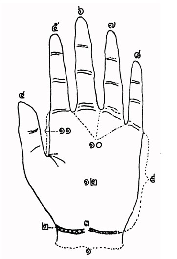 ตำราลายมือ"ว่าด้วย.. มือและเส้นลายมือ(เบืองต้น) 